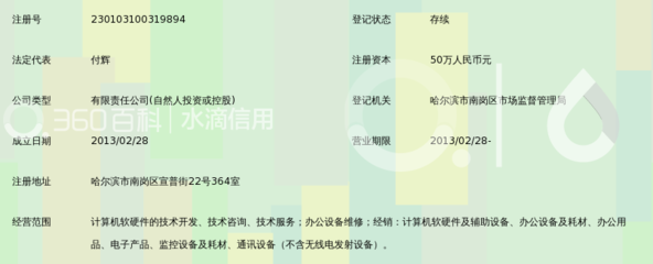 冰城科技明珠 哈尔滨诚信拓辉科技开发公司业务概览