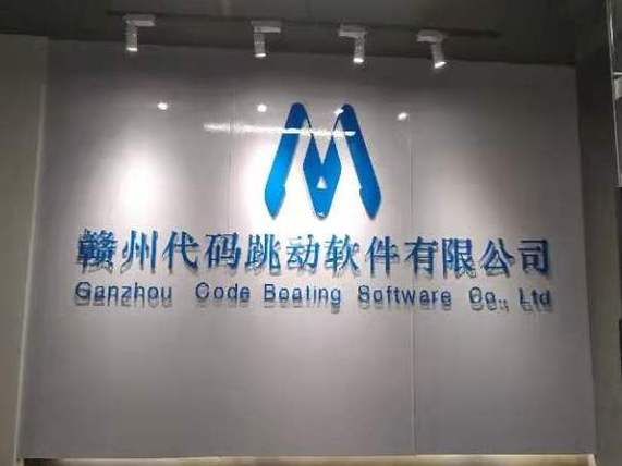 网络与信息安全软件开发,软件外包服务,计算机软硬件及辅助设备零售